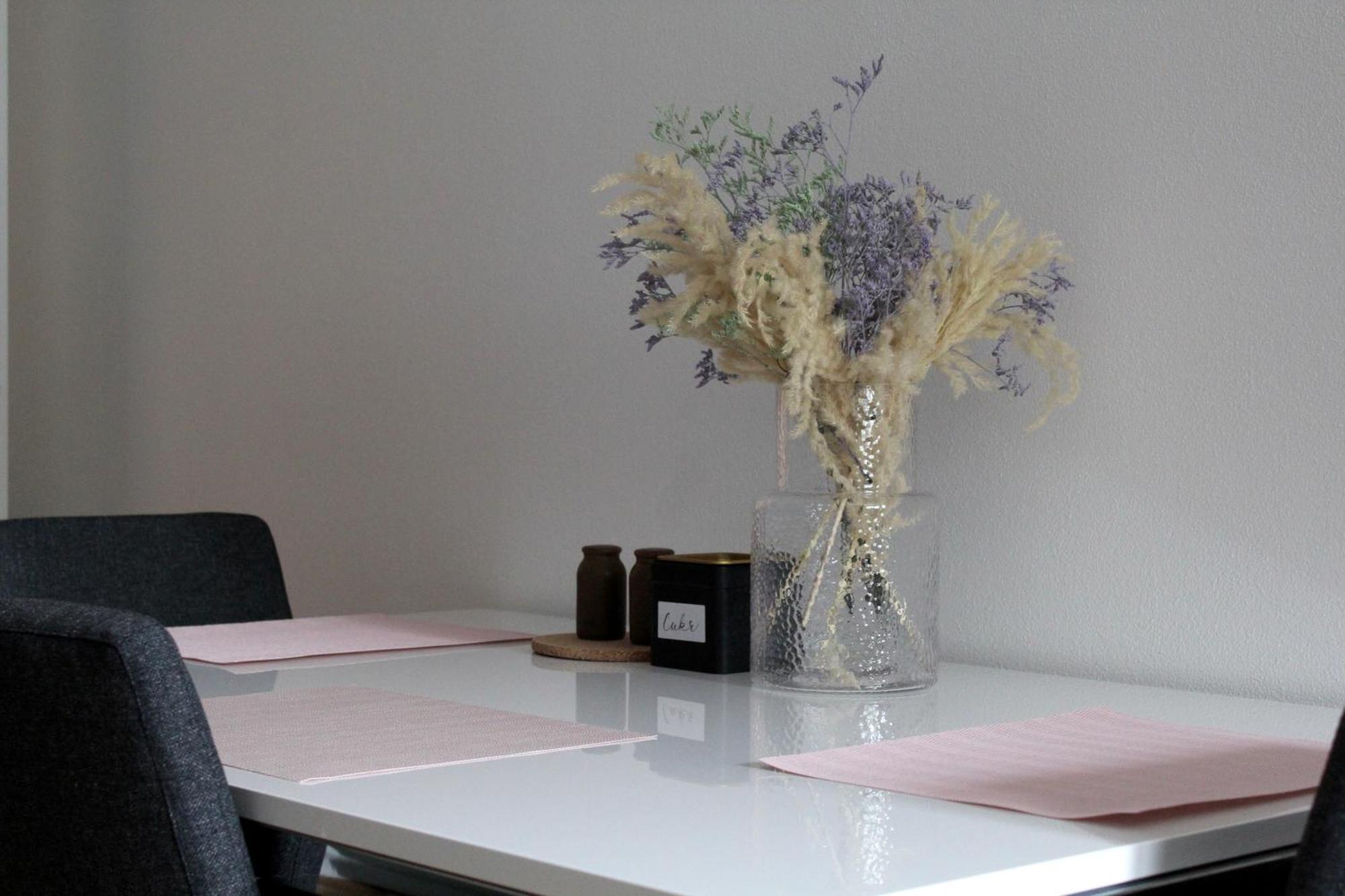 Apartmany Abacie Nový Jičín エクステリア 写真
